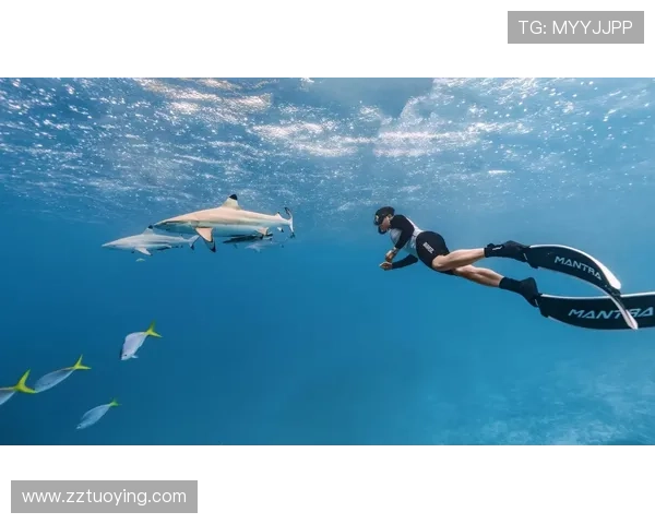 蓝色大海的传说:人鱼的3次转世,他救了她1000次,为何总是错过